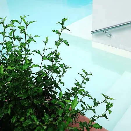 Selfhaus Apartment *